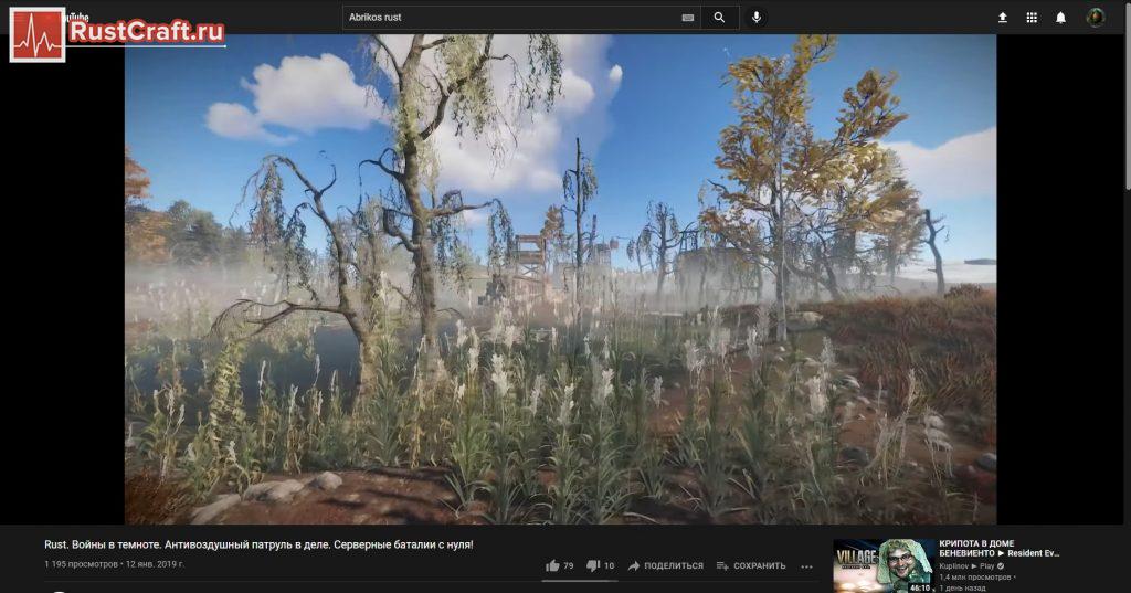 Пролётка в ролике в Rust