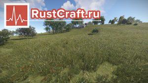 Просвеченная трава в Rust