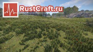 Трава в Rust
