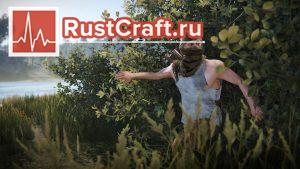 Кусты в Rust