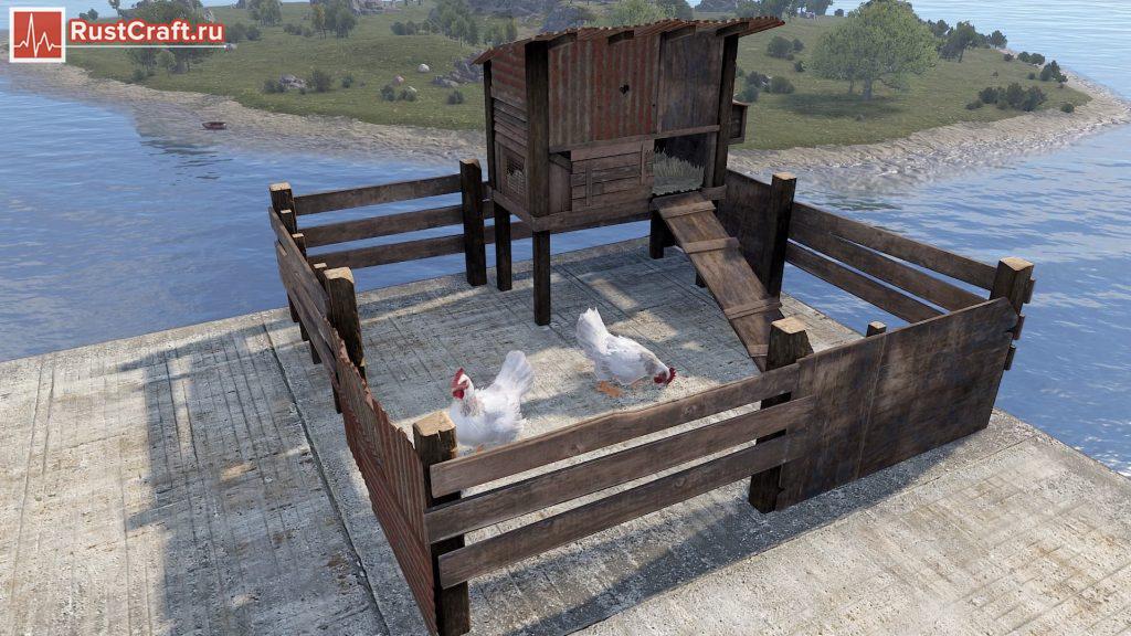Курятник с курицами