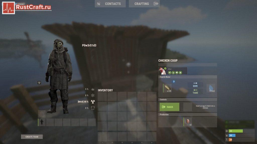 Яйца в курятнике