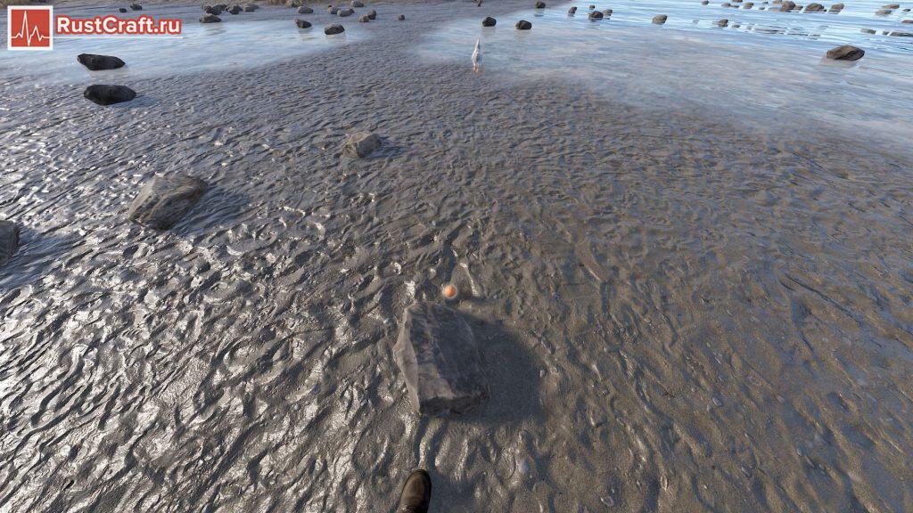 Яйцо выпало из курицы