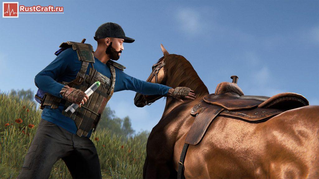 Шприц и лошадь